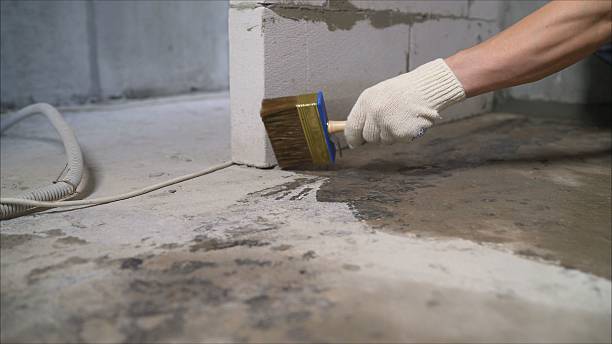 24/7 Emergency Interior Drainage System experts in Sadieville, KY